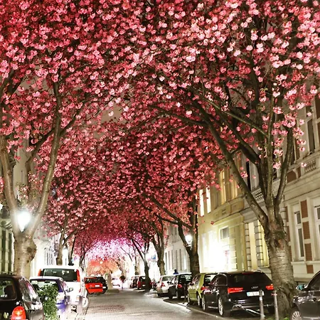 Mercure Hardtberg מלון 4*