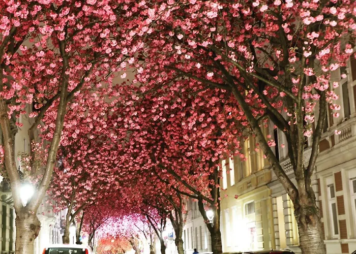 Mercure Hardtberg Hotel 4*